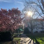Amos Warren - @amoswarren8 - Instagram