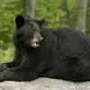 Amos Warren - @amos.warren4 - TikTok