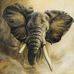 Ansell Warren - Facebook