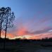 Warren Austin - Facebook