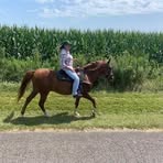 Lynn Backstrom Warren - Facebook