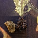 Warren Behr - @behrwarren - Instagram