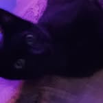 jasper Warren Boone - @jasp3r_b0on3 - Instagram