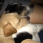 Warren & Bradley - @warrenbradleysb - Instagram