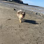 Warren Bradley - Facebook