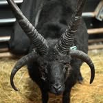Warren Michael Britz - @war.mic.biz - Instagram