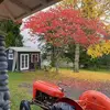 Warren Buxton - @warren.buxton - TikTok