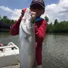 Warren Chong - @2147276673 - TikTok
