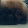 Warren Jai Chong - @2157951325 - TikTok