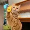 warrencraft37 - @warrencraft_27 - TikTok