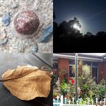 Warren Craig - @warrencraigphotography - Instagram