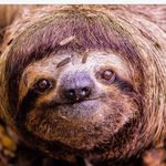 Warren Dennis - @warren.dennis.507 - Instagram