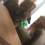 Warren - @warren_eddy_puckett - Instagram