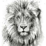 Warren - @warren_field - Instagram