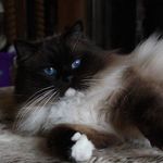 Jonathan Fitzpatrick-Warren - @jonathanfitzpatrickwarren - Instagram