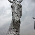 Warren Fitzpatrick - @warrenfitzpatrick - Instagram