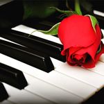 Warren Fox - @warren_piano - Instagram