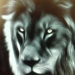 Warren Freeman - @warren.freeman - Instagram