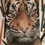 Grace - @grace_warren_art - Instagram