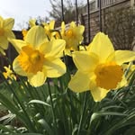 Warren Hanlon - @hanlonwarren - Instagram