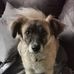Warren Hanson - Facebook