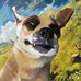 Warren Hartley - Facebook
