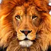 Warren Harvey - @warren.harvey - TikTok