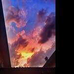 @herbert_warren - Instagram