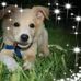 Warren Herbert - Facebook