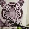 Warren Herbert - @warren.herbert7 - TikTok