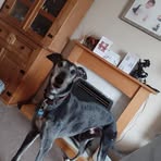 Warren Hill - Facebook