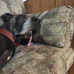 Warren Bartley Hobbs - @warren.b.hobbs - Instagram