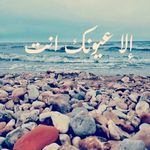 Warren Hogan - @warrenhogan8554 - Instagram