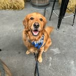 warren huffman - @warrenthuff - Instagram