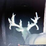 Warren huffman - @antler_addict67 - Instagram