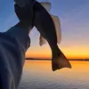 Warren Hunter - @warrenhunter - TikTok