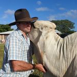 Warren Hunter - @cattleking - Instagram