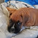 Warren Jensen - @warrenj0829 - Instagram