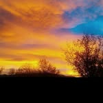 @warrenjensen2 - Instagram