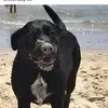 Warren Kaufmann - @warrenkaufmann - TikTok