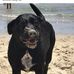 Warren Kaufmann - Facebook