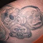 Warren Knott - @knottwarren - Instagram