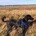 Haile Farm Preserve, Warren Land Conservation Trust, Warren, Ri - Facebook