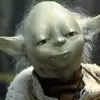 landynwarren512 - @landynwarren512 - TikTok