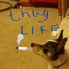 warren land - @finley881 - TikTok