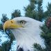 Warren Landin - Facebook
