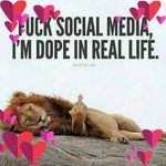 Warren Levine - @warren.levine - Instagram