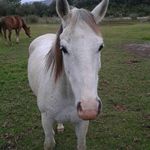 @flockhartwarren - Instagram