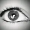 lynnwarren - @lynnwarren1624 - TikTok