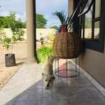 Laone Lyon Warren - @laonelyonwarren - Instagram